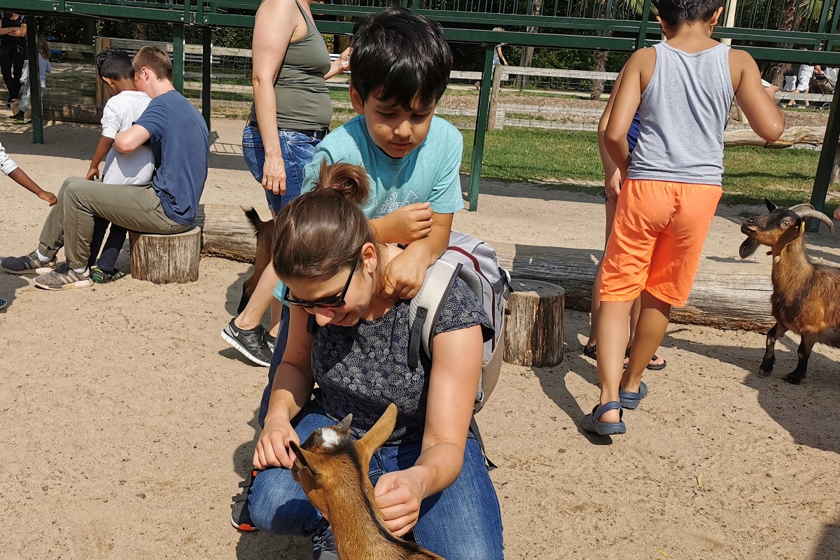 IMG 20190805 114832