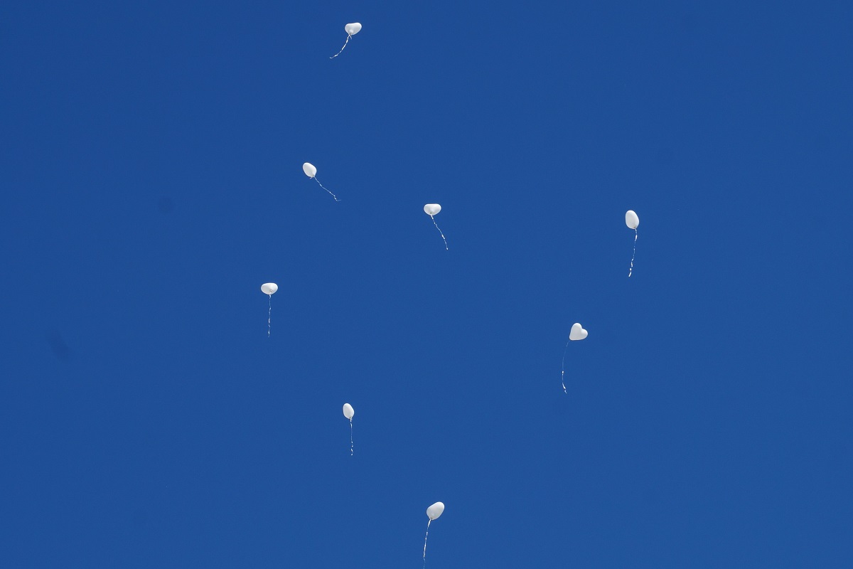 DSC02646