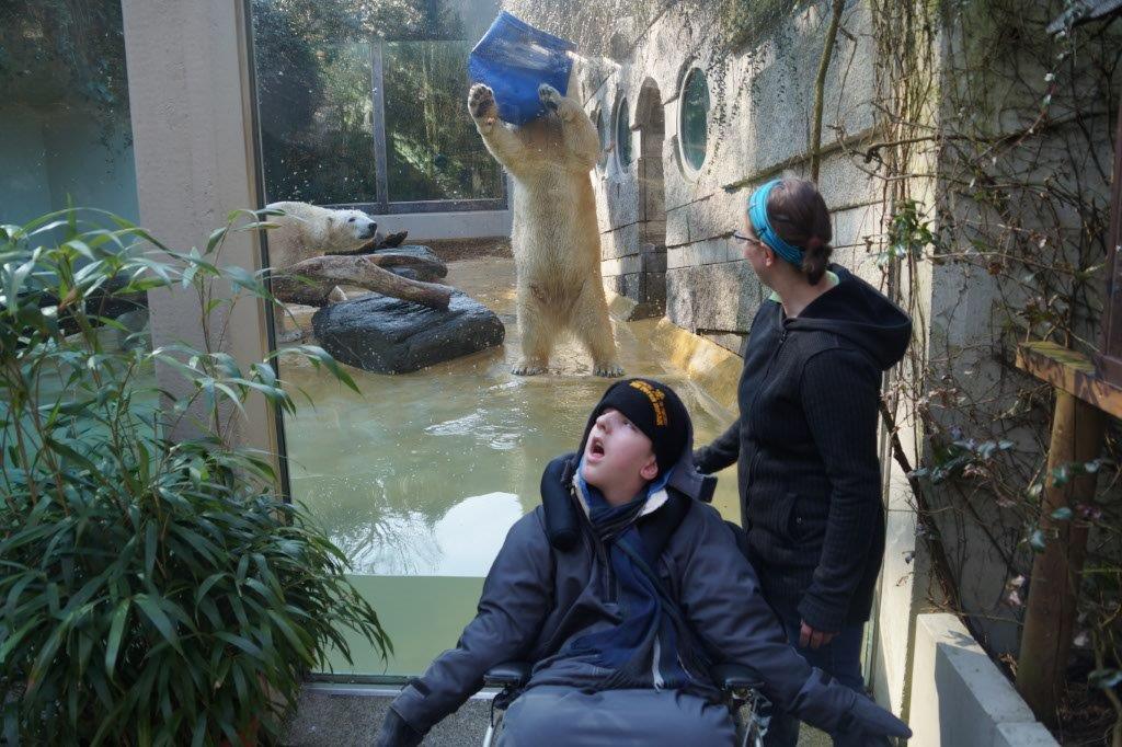 Zoo1